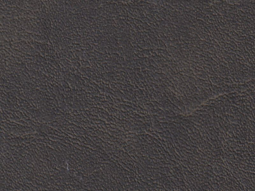 Throne forest 140 cm  30 lfm pro Rolle